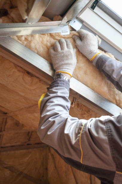Best Insulation Repair Services  in North Valley, NM